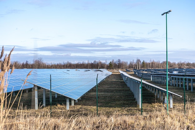 Cum să optimizezi consumul energetic într-o fermă agricolă?