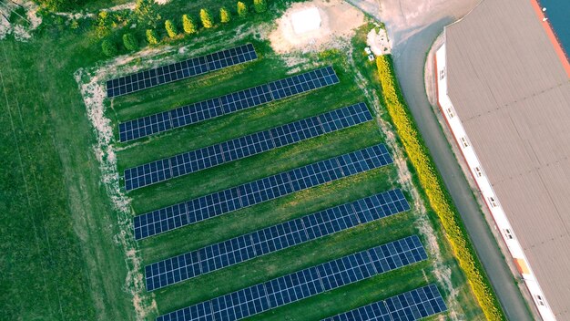 Impactul energiei regenerabile asupra productivității în agricultură