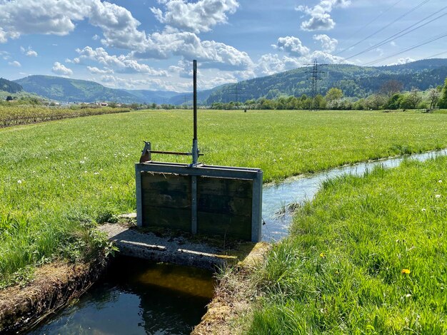 Cum să îmbunătățești sistemele de drenaj pentru culturile agricole?